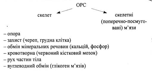 http://disted.edu.vn.ua/media/images/student2/biology/9_form/u_01_chudak/01.jpg